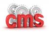 Content Mangemant System (CMS)